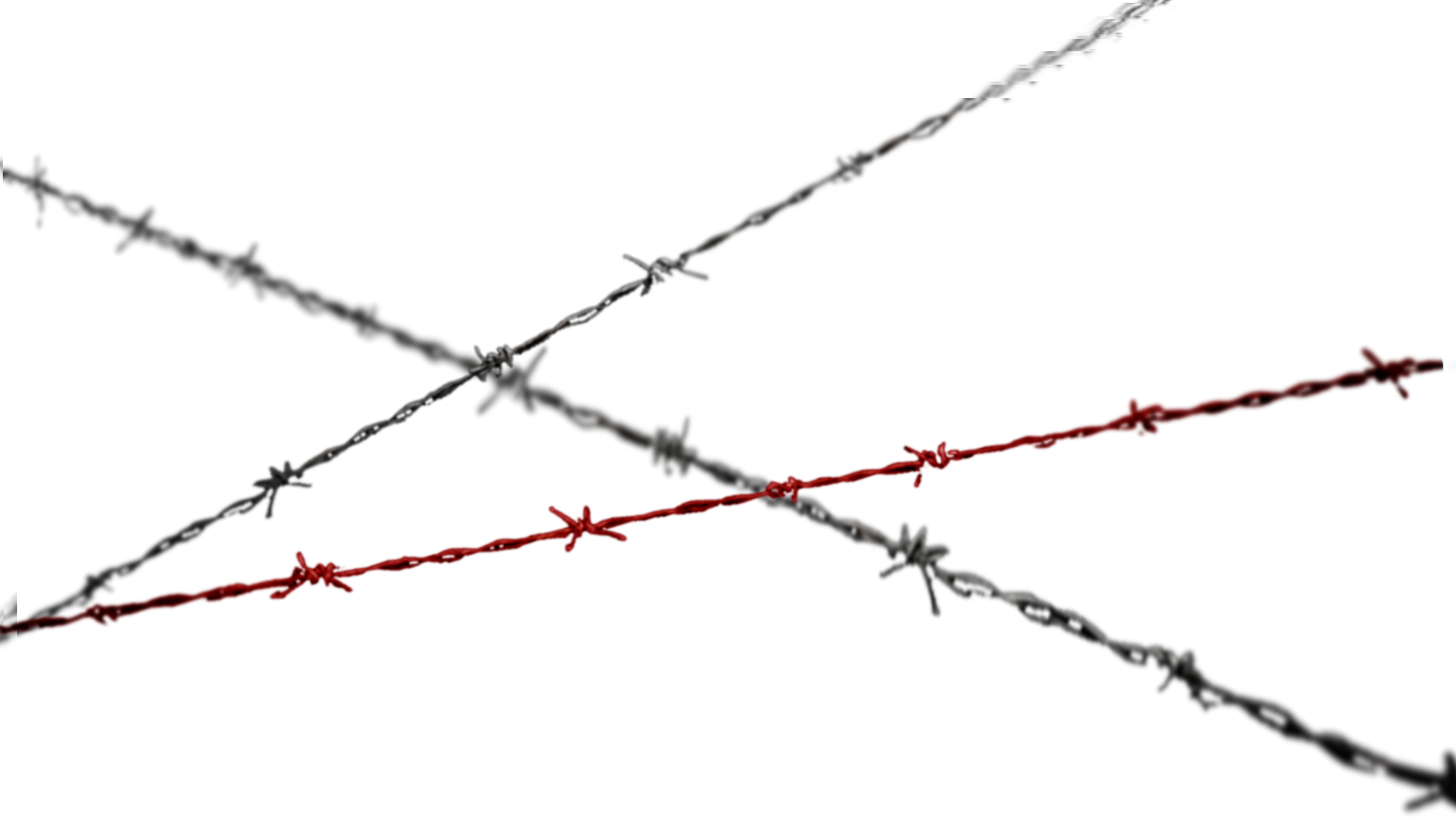 Wayloun Red Barbed Wire Across Regular